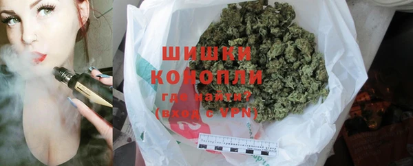 PSILOCYBIN Горнозаводск