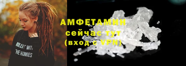 ГАЛЛЮЦИНОГЕННЫЕ ГРИБЫ Горно-Алтайск