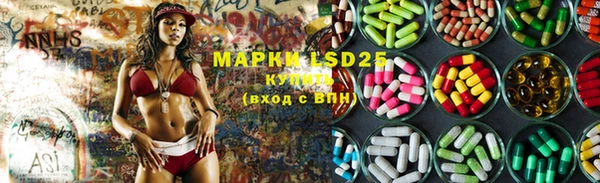 PSILOCYBIN Горнозаводск