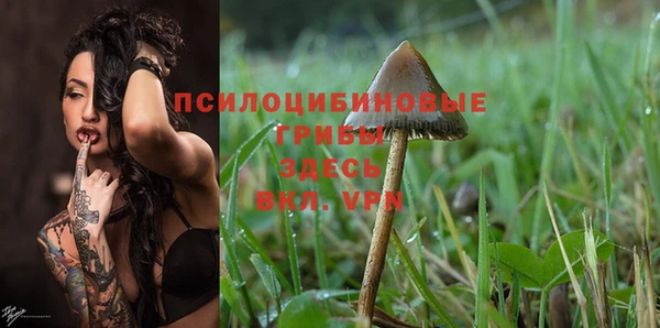 spice Горняк