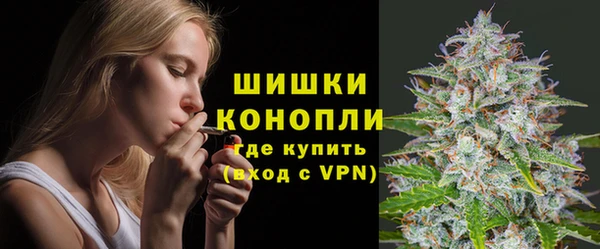 PSILOCYBIN Горнозаводск