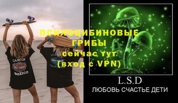 ГАЛЛЮЦИНОГЕННЫЕ ГРИБЫ Горно-Алтайск