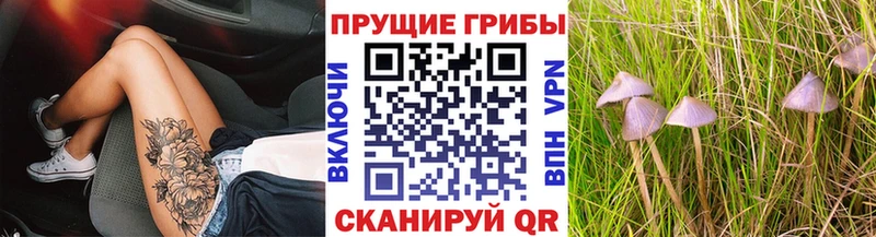 Псилоцибиновые грибы GOLDEN TEACHER наркота Магас